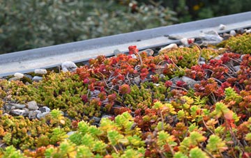 the cost of Ullesthorpe green roof installation