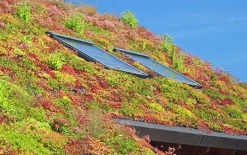 Ullesthorpe living roof systems